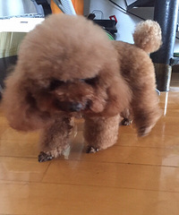 �Ҽ�����ôô�գ�