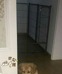 ��ֻ�ܺ�ƽ������