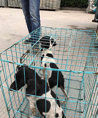 ���չ���