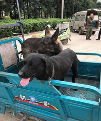 ���չ���