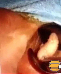 7����ͯ������14ֻ�䶯������̫�����ˣ�