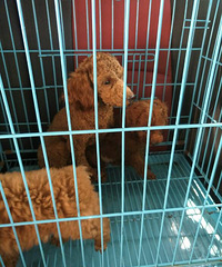 һ�����ڳ���