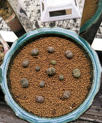 �ҵ�����