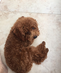 �����ڲ����裬�����ܹ�