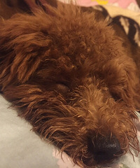 �����ڲ����裬�����ܹ�