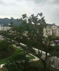 出售绿城玫瑰园 仅售:8500每平方