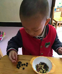 快看颜色、形状,这有什么区别?和小伙伴们一起来分类吧!