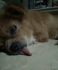 û�жԱȾ�û���˺�