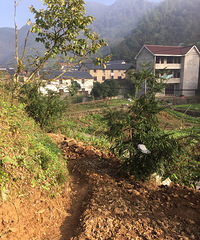 一坱正在开垦的处女地……