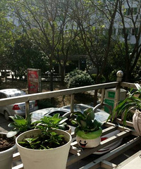 ���ϰ�ҩ�磬����������ͦ�о����Ա�����