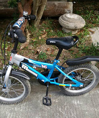 ���۶�ͯ�ݰ������г�