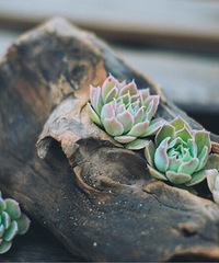 ������˿��ԭʼ��������״̬��