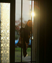 ���Ƣ���е������һ������ˡ���������