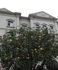 ����ļ���