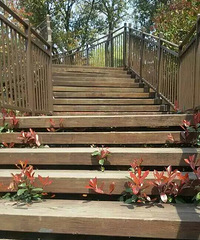 ������ �羰��߶���