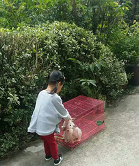 ������ ͯ��