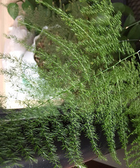 ������������