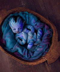 �����ﱦ����ճ��� �ۼ�2000��Ԫ