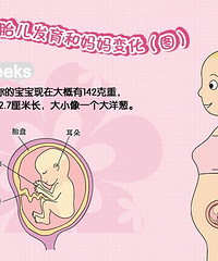 "怀孕五个月肚子多大 有哪些要注意的"