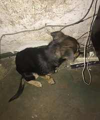 ������������