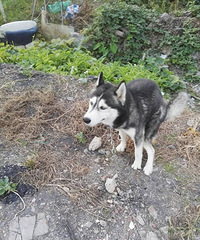 ������������ʲô��