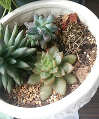 [�ֵ���õ�һ�����]