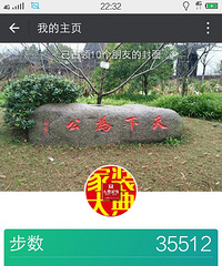11月11日。打卡步数十美景。。今曰徒步汽车