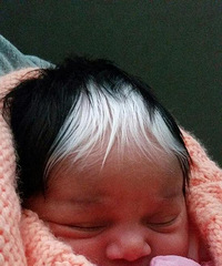 ŮӤ��������һ�ư׷� �����Ҳ��û˭��