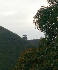 打卡,美景。