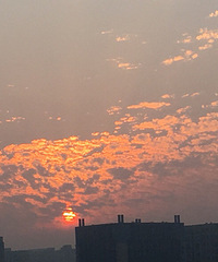 打卡步数+美景,1112,如果云知道