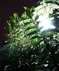 �����ļ���