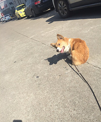 �������㡿����������