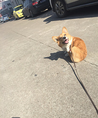 �������㡿����������