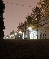 ���ⳡ������ ������ �׷�������С�