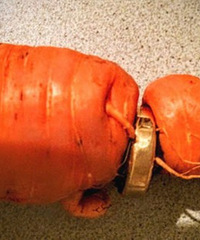 ��̫��ũ��ʹʧ��� 3������ܲ���