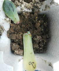 ��˭�����ң���Щ��ʲô���֣�