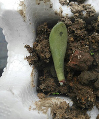 ��˭�����ң���Щ��ʲô���֣�