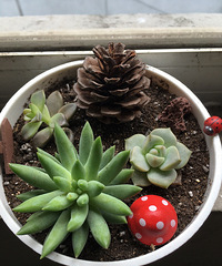 �ֵ���õ�һ�����