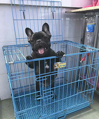 [������]+�ɰ���С��