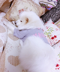 ������ֻ�������̣������𾪵ġ�1����ϴ