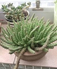 ������õ�һ��:���Ŷ����ף��о����ܺ�