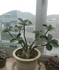 ������õ�һ��:���Ŷ����ף��о����ܺ�