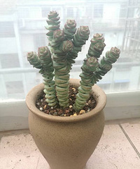 �ֵ���õ�һ�����:������������