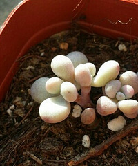 �ԼҶ��⣬�ҵ��ǲ���������