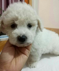 ��������Żݳ���