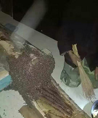 �Լ�����������90Ԫһ���������ϵ��