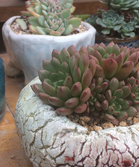 ������