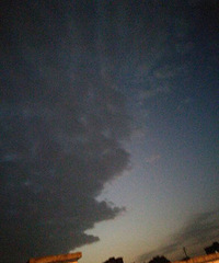 ����ʲô����