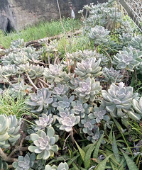 ֻ��֪������ʲô.