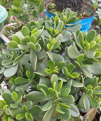 �ֵ���õ�һ�����